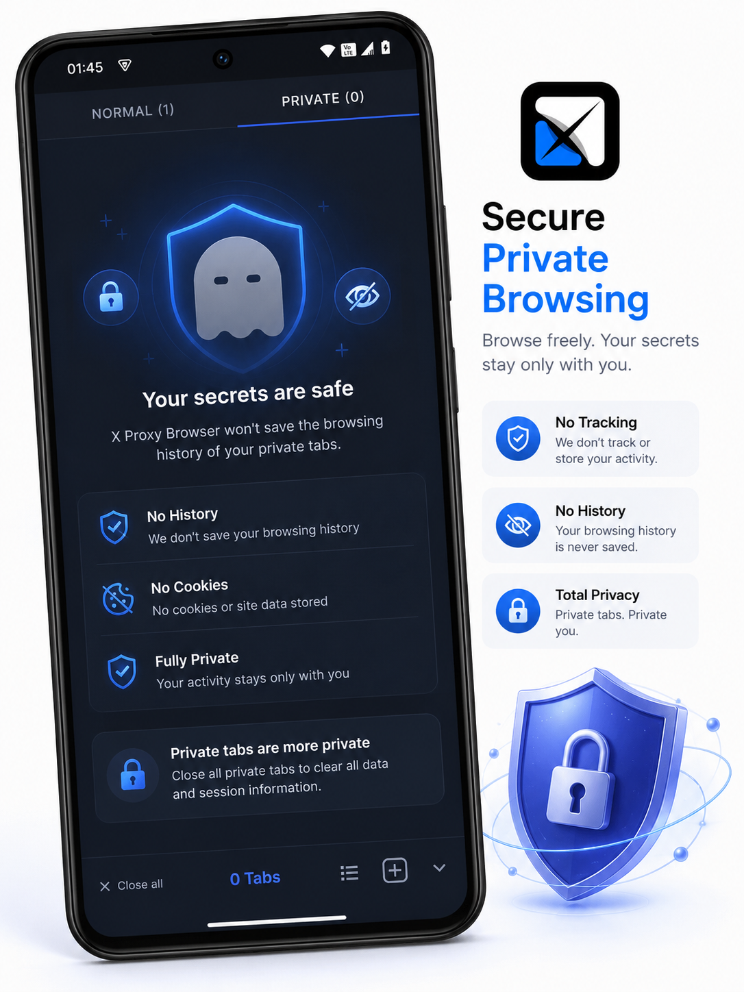 Private browsing screen: your secrets are safe